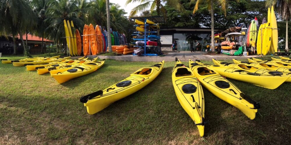Kayaks